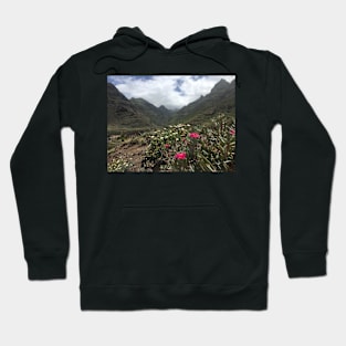 Tranquil Holiday Vibes in Italian Volcanic Mountains Hoodie